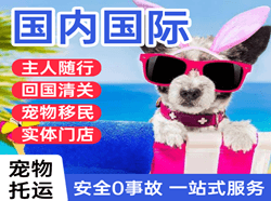 黄花国际宠物托运 【国